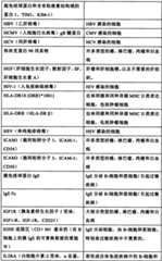 Figure BSA0000176163890000181