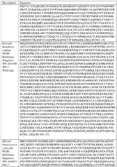 Figure imgf000133_0001