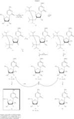 Figure US07601820-20091013-C00002