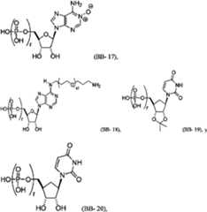 Figure imgf000031_0001