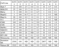 Figure imgf000335_0001
