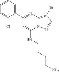 Figure US07119200-20061010-C02121