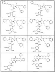 Figure imgf000019_0001