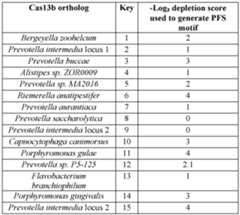Figure imgf000495_0001