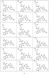 Figure imgf000077_0001