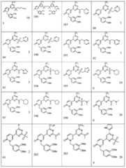 Figure 0006990229000020