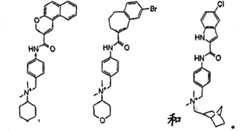 Figure FSB00000361596200041