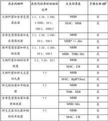 Figure DEST_PATH_IMAGE033