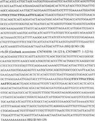 Figure G05842547720070613D000891