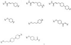 Figure GDA0003276334280000103