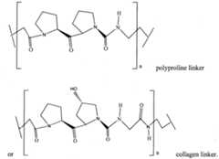 Figure imgf000034_0001