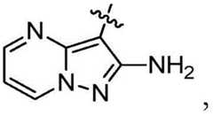 Figure BDA0003142399140000612