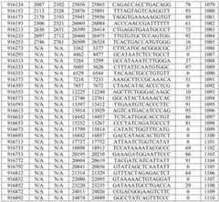 Figure BDA0002976854330001291