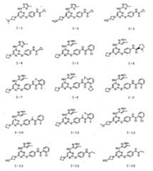 Figure 112008039273174-PCT00028