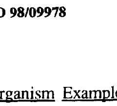 Figure imgf000073_0005