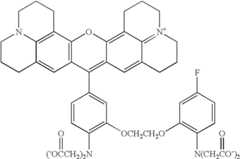 Figure US07102005-20060905-C00012