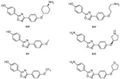 Figure imgf000019_0001