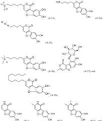 Figure imgf000053_0001