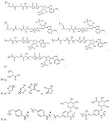 Figure imgf000012_0001