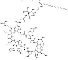 Figure imgf000176_0001