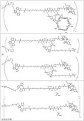 Figure FDA0002889616210000351