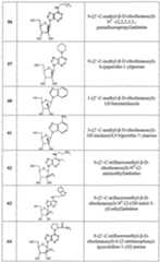 Figure imgf000028_0001