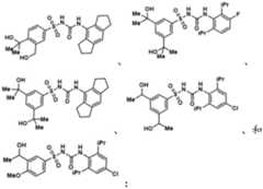 Figure BDA0002935257550000161