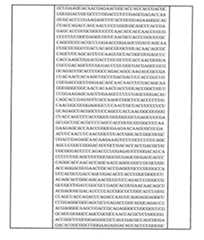 Figure 0007438604000094