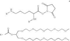 Figure US07648962-20100119-C00085