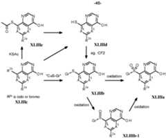 Figure imgf000047_0001