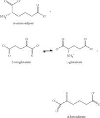 Figure US08133704-20120313-C00015