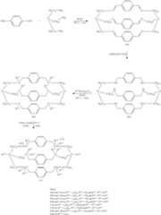 Figure US08268381-20120918-C00055