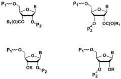 Figure imgf000054_0001
