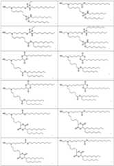 Figure imgf000062_0001
