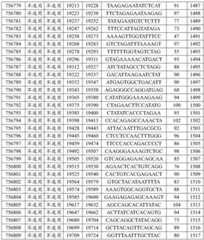 Figure BDA0002715438180001551