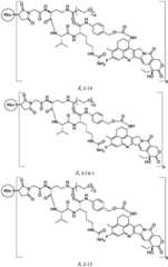 Figure FDA0003674984860000121