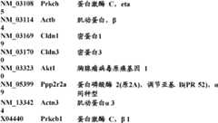 Figure BDA0000057170160002251