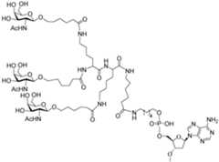 Figure imgf000186_0001