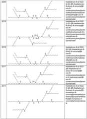 Figure imgf000069_0001