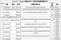 Figure BDA0003117691830001091