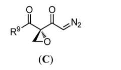 Figure imgf000297_0003