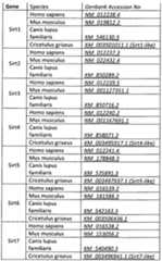 Figure imgf000046_0001