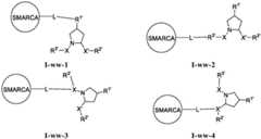 Figure FDA0003783300820000302