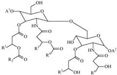 Figure imgf000058_0001