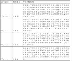 Figure 0007544766000009