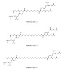 Figure imgf000022_0001