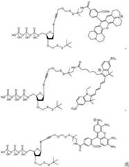 Figure BDA0003670511740001581