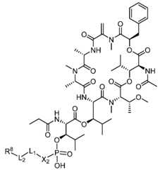 Figure imgf000082_0002