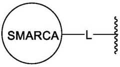 Figure BDA0003783300830000651