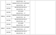 Figure PCTCN2019123555-APPB-000030